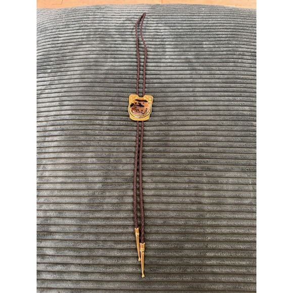 Vintage Western Bolo Tie Gold Tone Metal‎ Scenic Picture Jasper Stone Mens